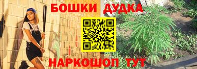 spice Канаш