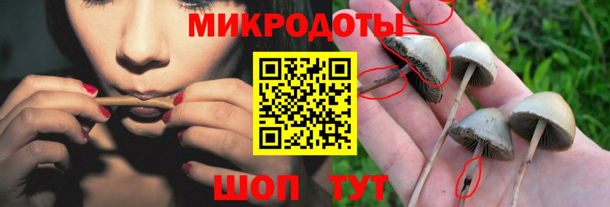 Красногорск  Псилоцибиновые грибы Psilocybine cubensis  где найти   Вход с VPN  Псилоцибиновые грибы Cubensis 